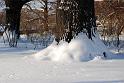 2010-12-02, Neuschnee (26)